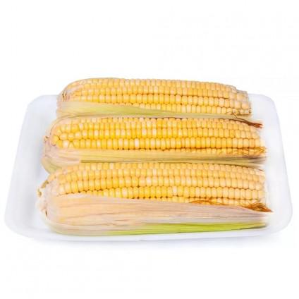 Milho Verde Bandeja Unidade