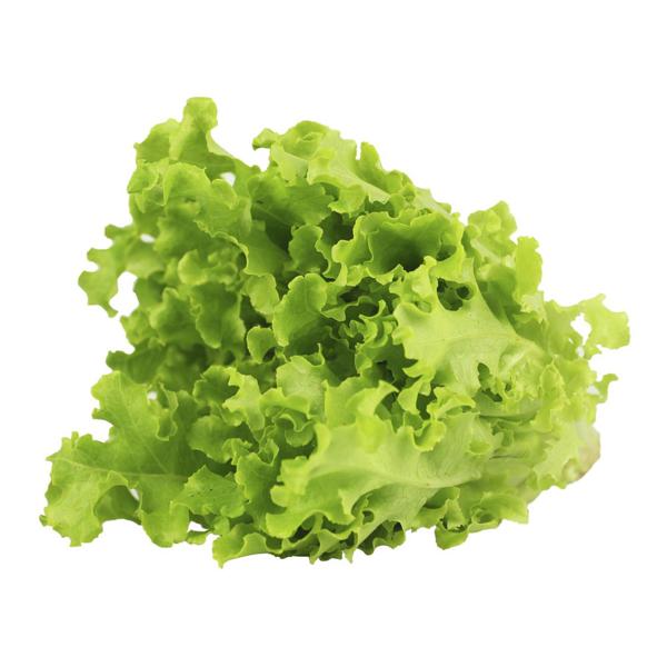 Alface Lisa Orgânica Maço