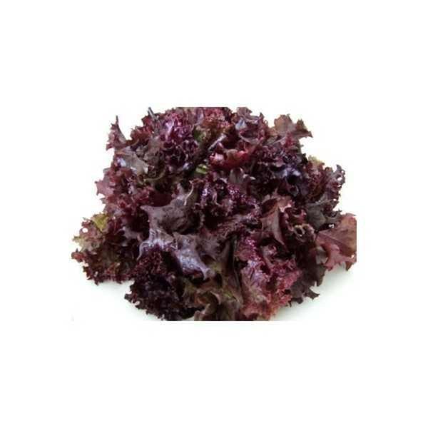 Alface Roxa 200g