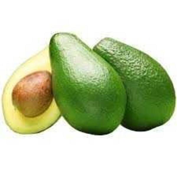 Abacate 1Kg (verdoso)