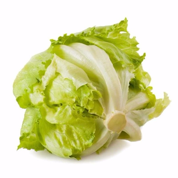 Alface Americana (Maço)- Orgânico