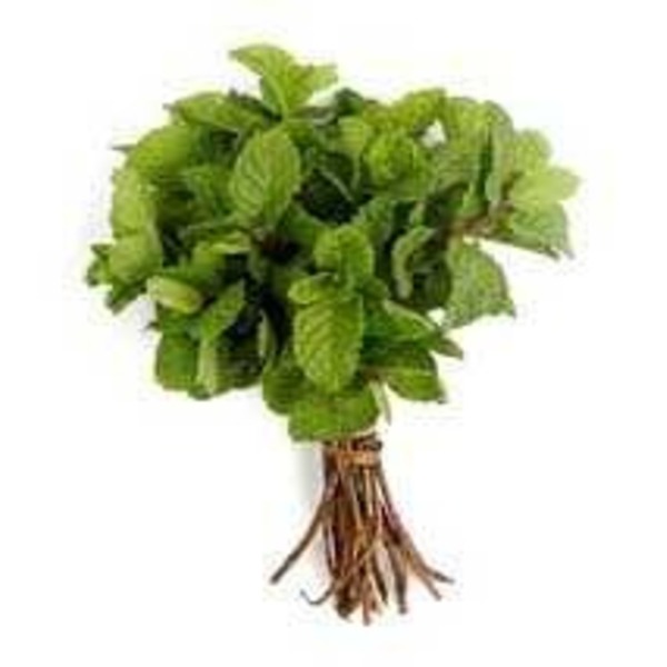 Hortelã (Maço)- Orgânico