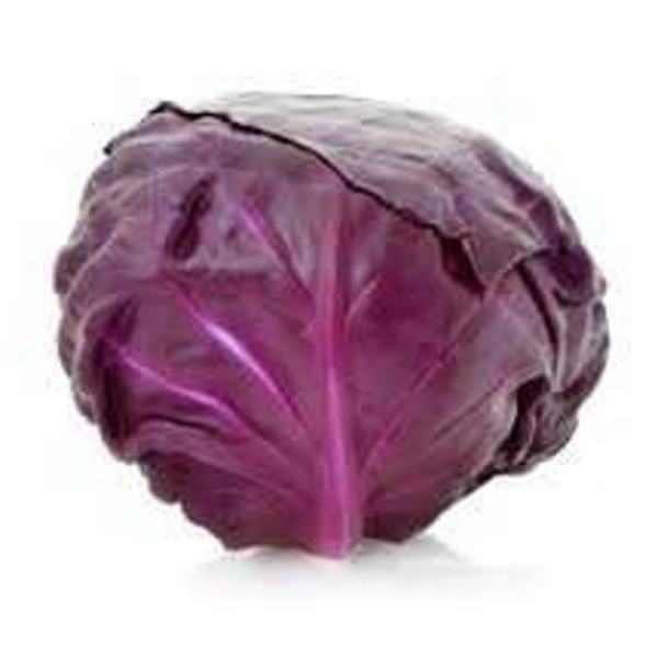 Repolho Roxo (Unidade)- Orgânico