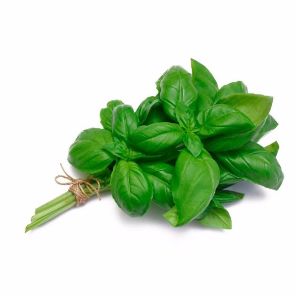 Manjericão (Maço)- Orgânico