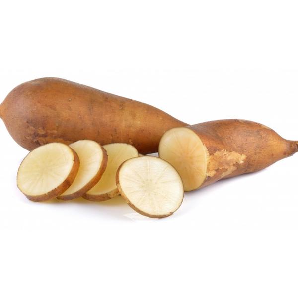 Batata Yakon -