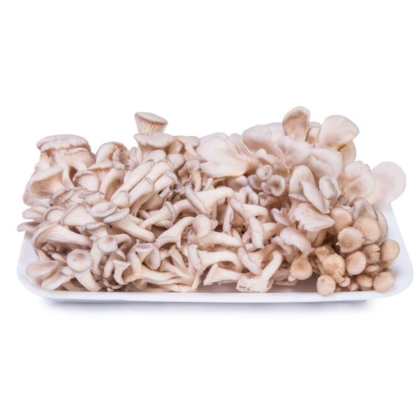 Cogumelo Shimeji PERBONI 200g