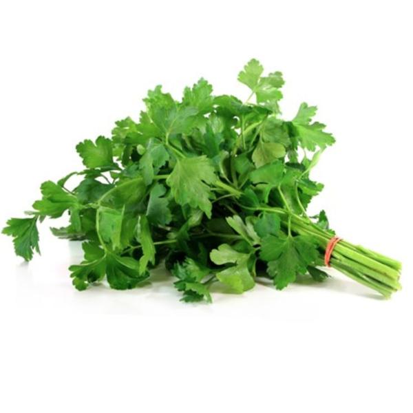 Coentro Orgânico Sitio Arcanjo Unidade