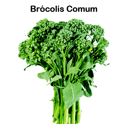 Brócolis Maço