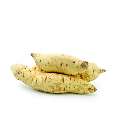 Batata Doce Branca