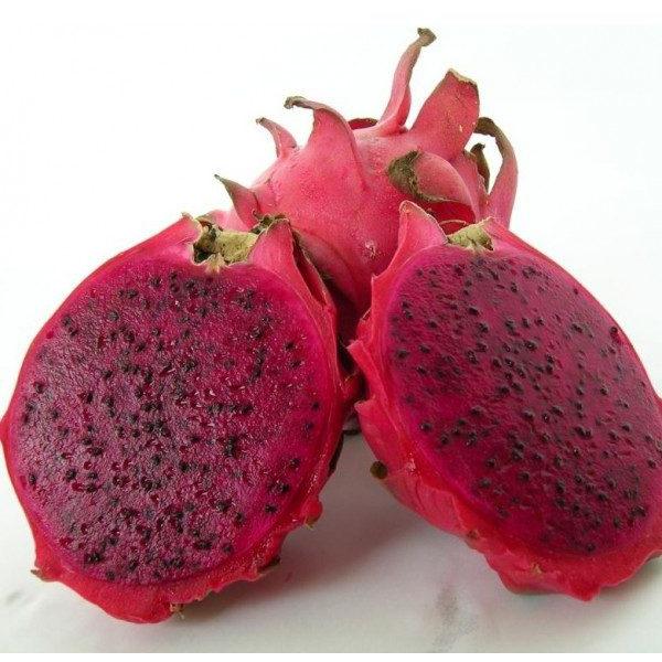 Pitaya