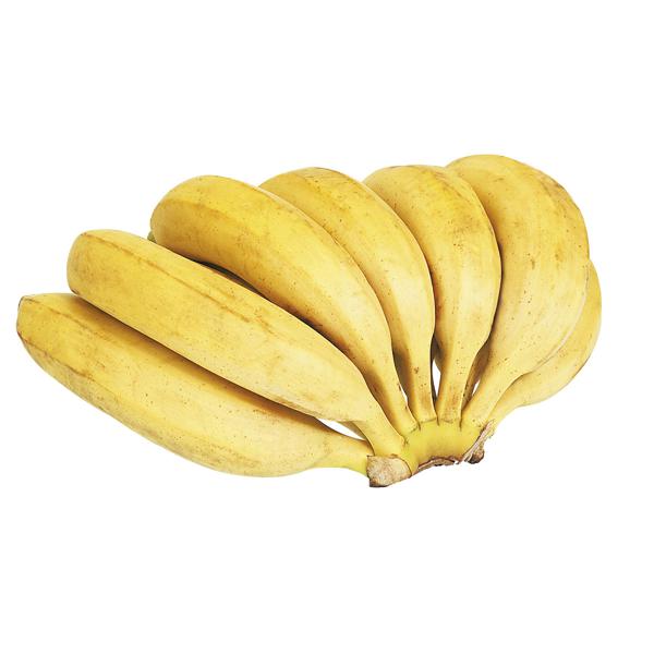 Banana Nanica