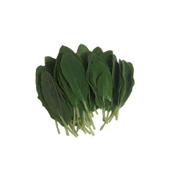 Peixinho (150g) Stachys byzantina