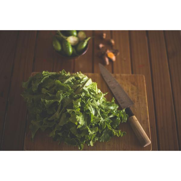 Alface Mimosa Orgânica