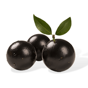 Jabuticaba