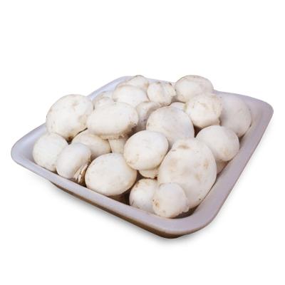 Cogumelo Paris SILVESTRIN 250g