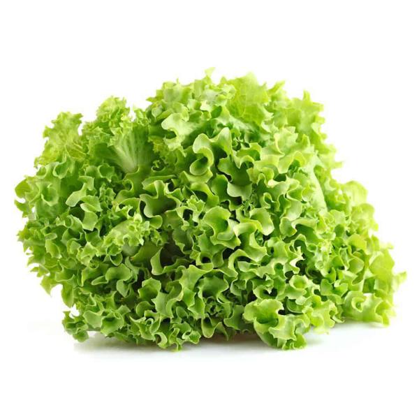Alface crespa orgânica (un)
