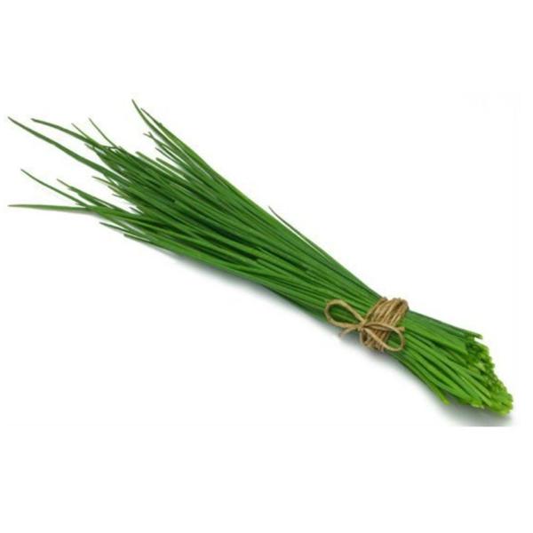 Cebolinha Hidropônico