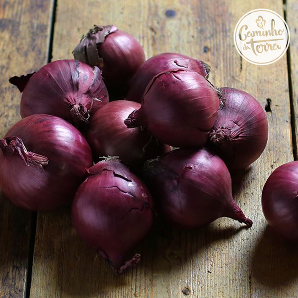 Cebola Roxa Orgânica (500g) - 500g