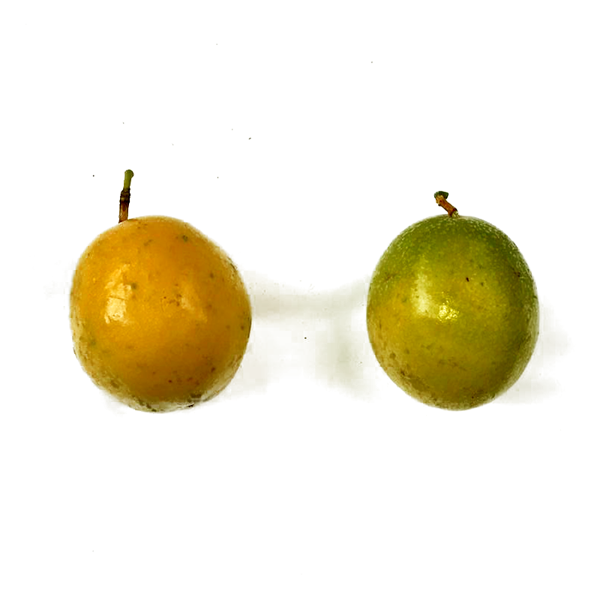 Maracujá (400g-500g)