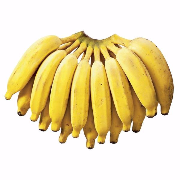 Banana Prata (KG)- Orgânica ( podem vir verdes)