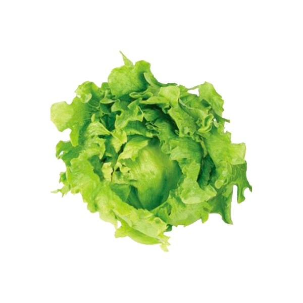 Alface Americana 250g