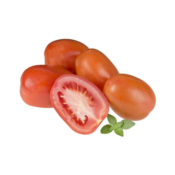 Tomate Italiano