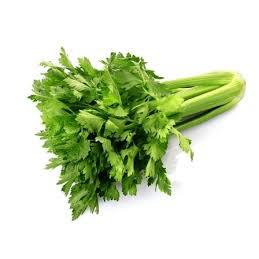 Salsão Orgânico Unid CULTIVIDA