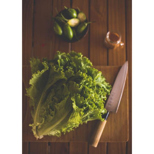 Alface Crespa Orgânica