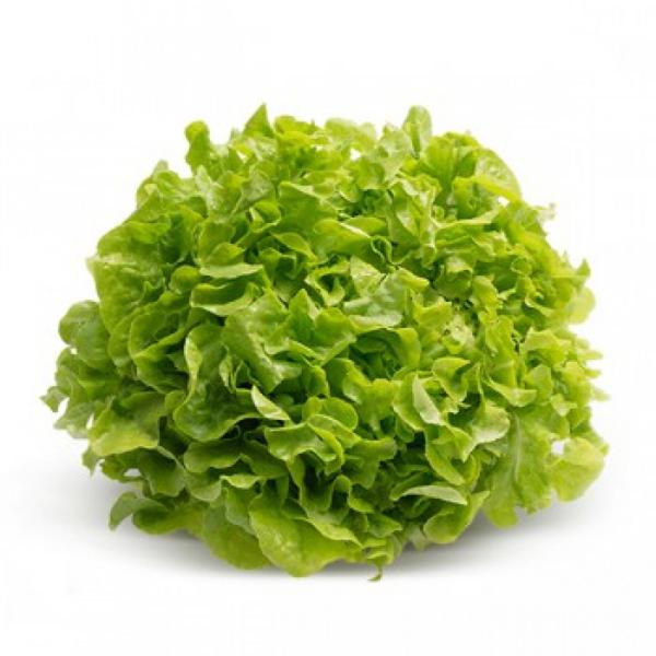 Alface Mimosa Maço