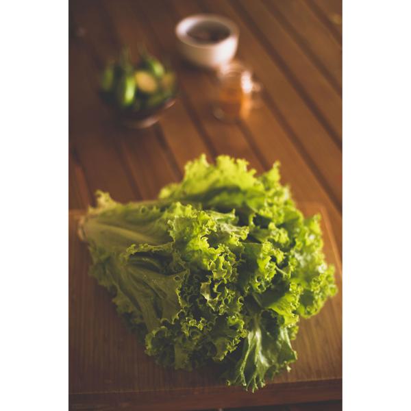 Alface Crespa Orgânica