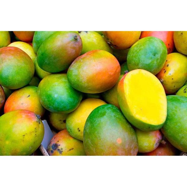 Manga espada (Kg) - Orgânica