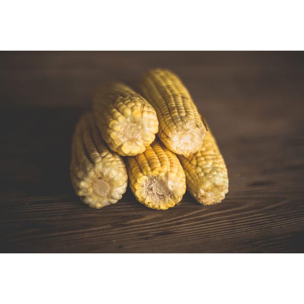 Milho Verde Orgânico Bandeja