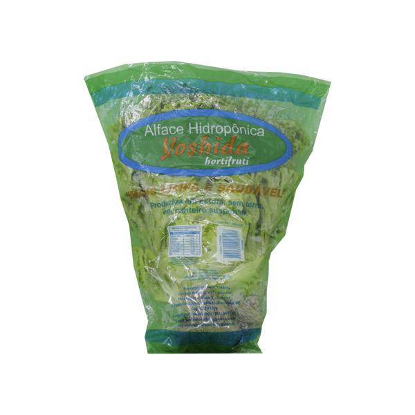 Alface Crespa Hidropônica Yoshida Und