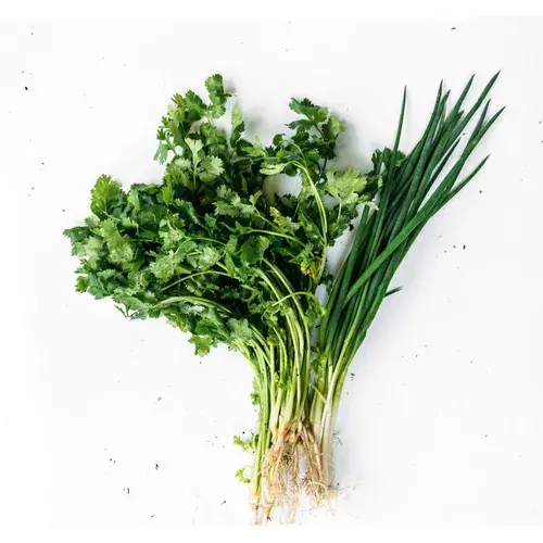 Cheiro Verde Horta Branco Maço