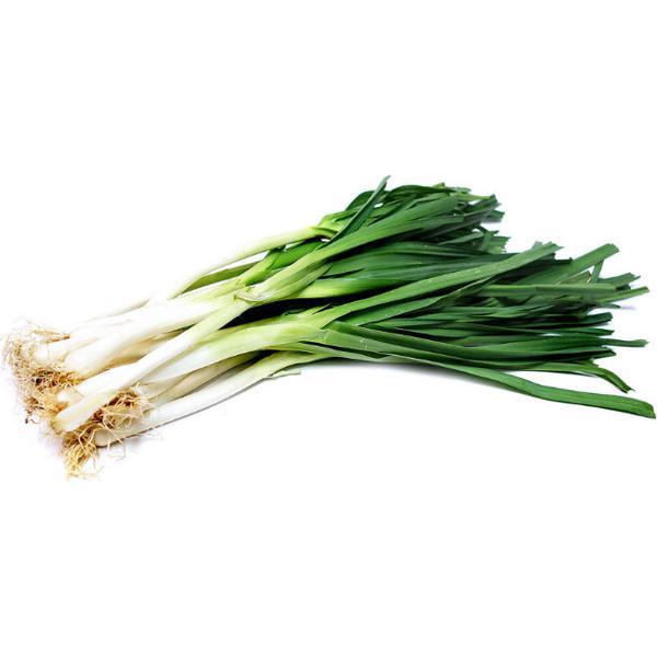 Alho Poró Orgânico Maço