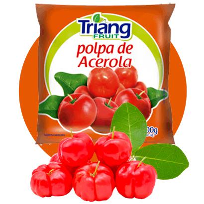 Polpa De Fruta Triang Fruit 100g Acerola