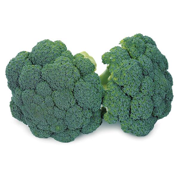 Brocolis Ninja JOAÇABA 300g